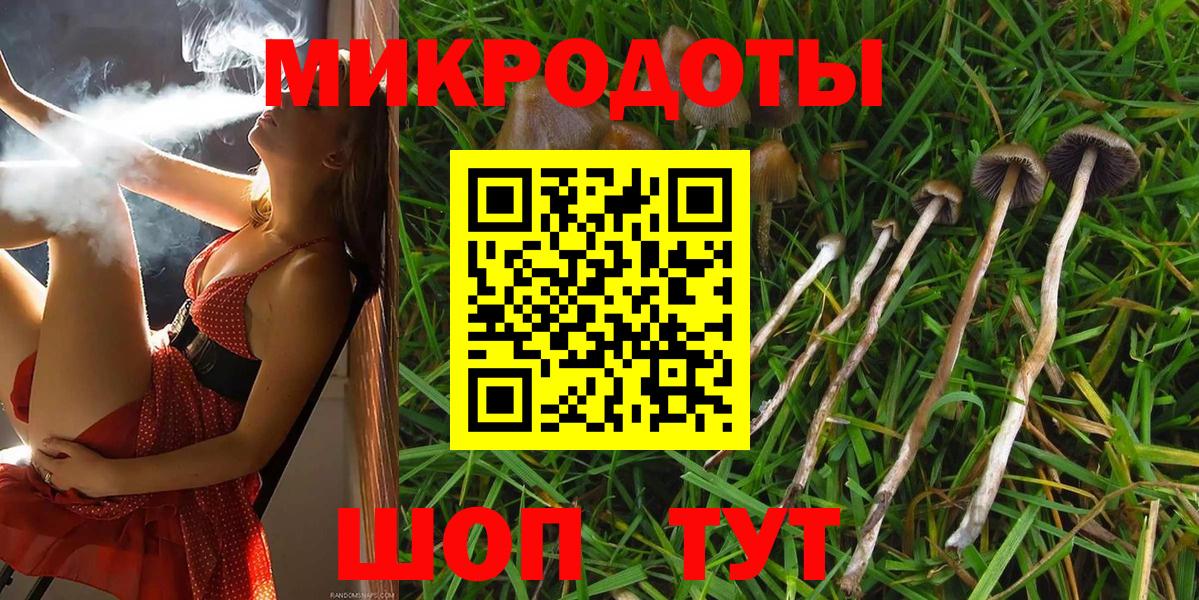 Галлюциногенные грибы Psilocybe Борзя