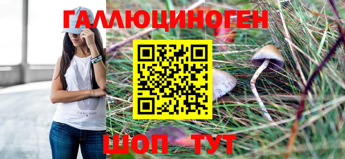 Галлюциногенные грибы GOLDEN TEACHER  купить   Борзя  Вход с VPN 
